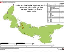 Recommandations du Comité consultatif international sur la lutte contre la galle verruqueuse de la pomme de terre à l’Île-du-Prince-Édouard, 2022
